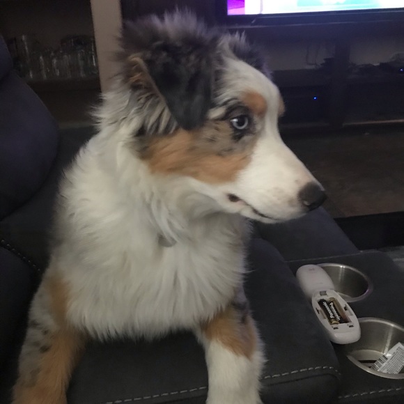 Meet your Posher, Mark - Picture 1 of 1